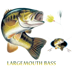 Largemouth Bass Combination W/Crest T-Shirt