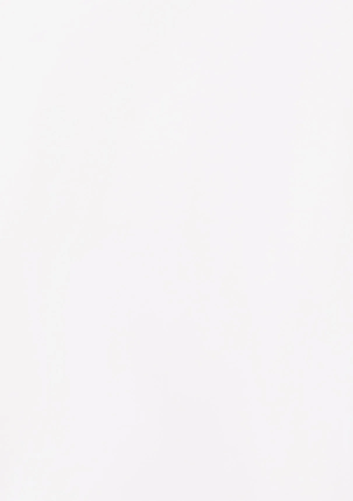 Lond Sleeve White Basic T-Shirt