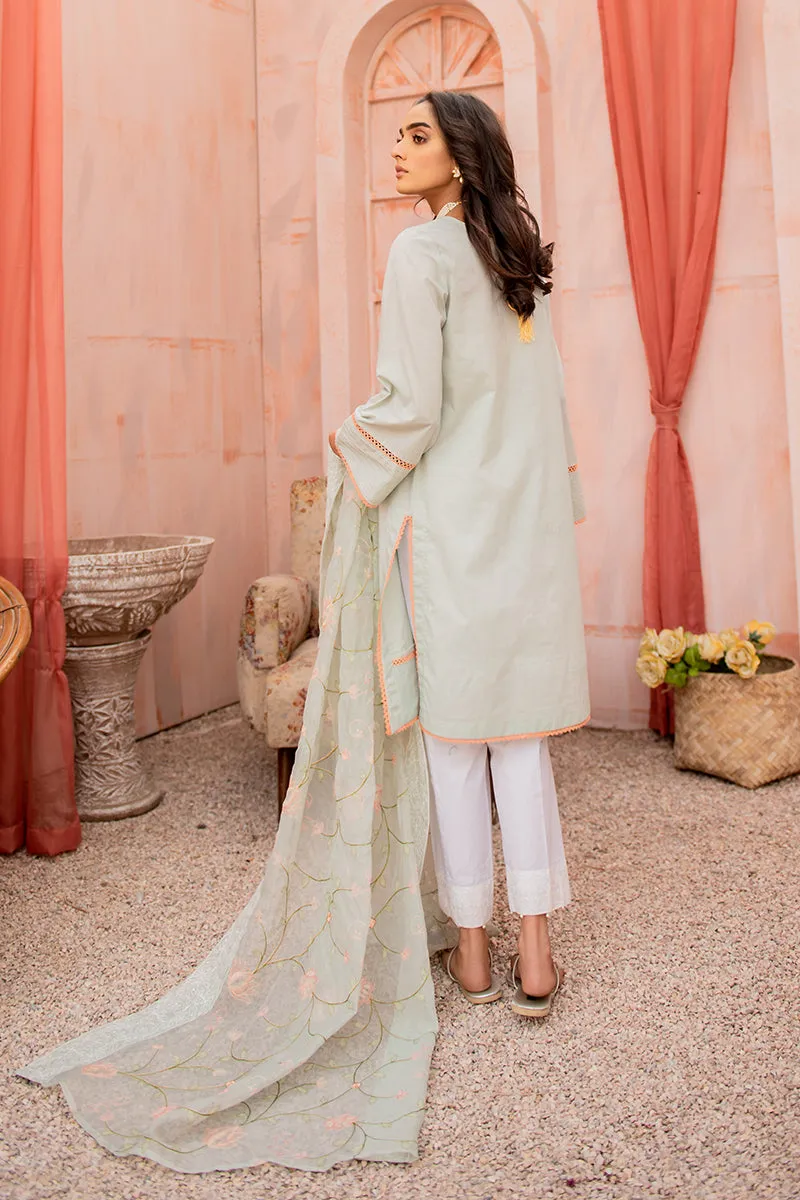 MINT ABYSS 2PC