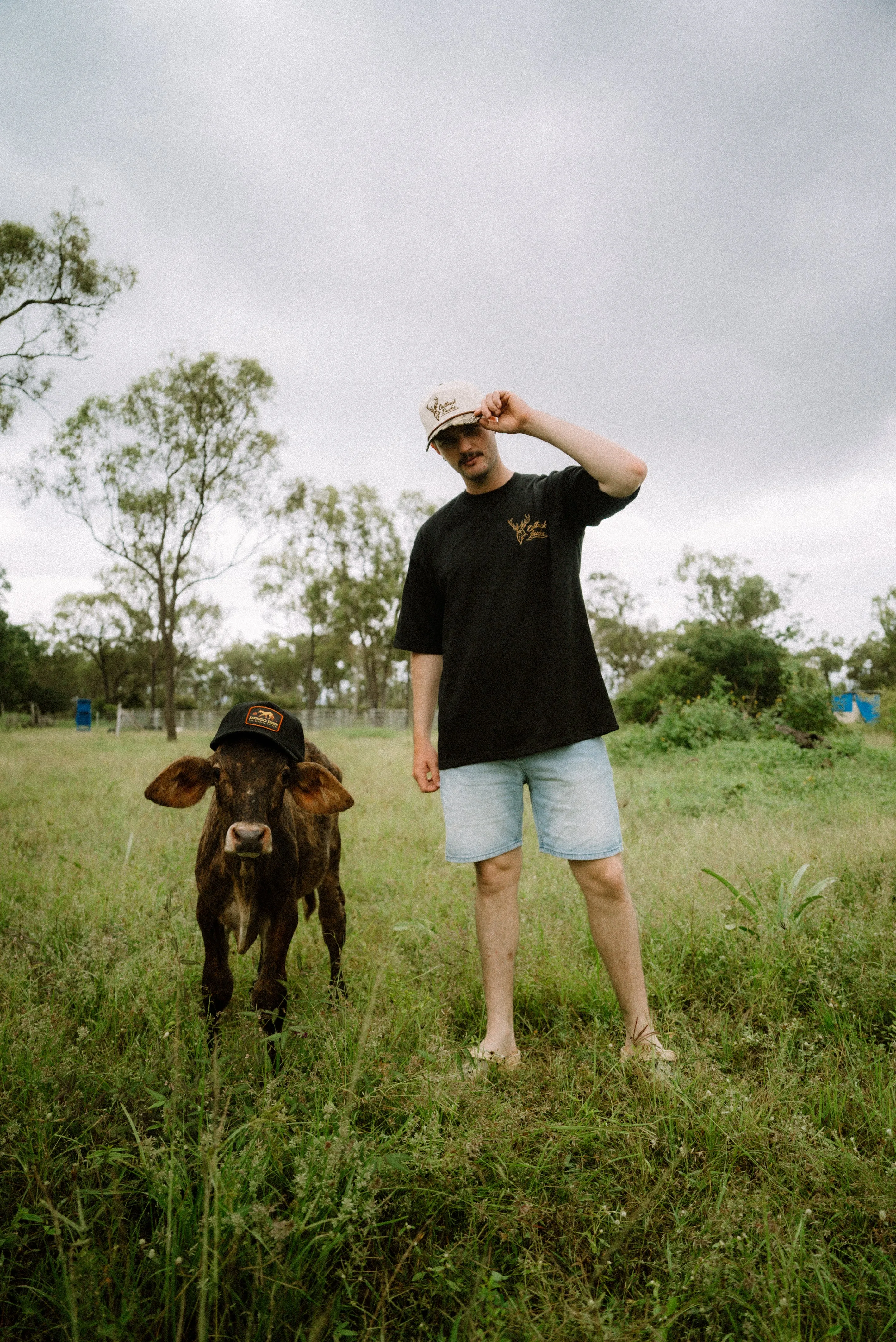 Outback Bucks O/S Tee Black