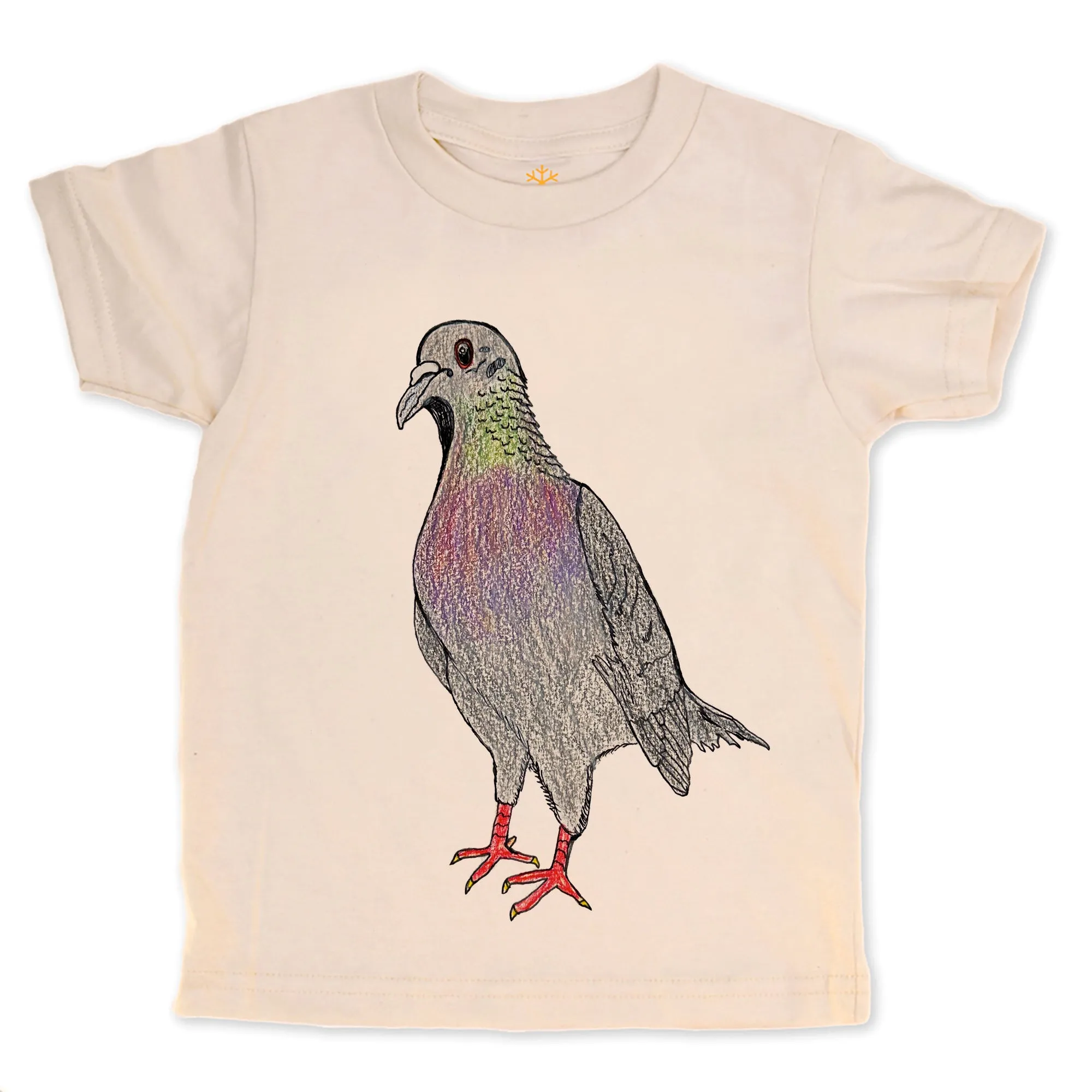 Pigeon - Adult