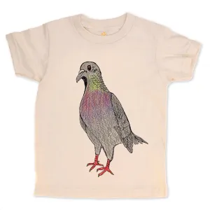 Pigeon - Adult