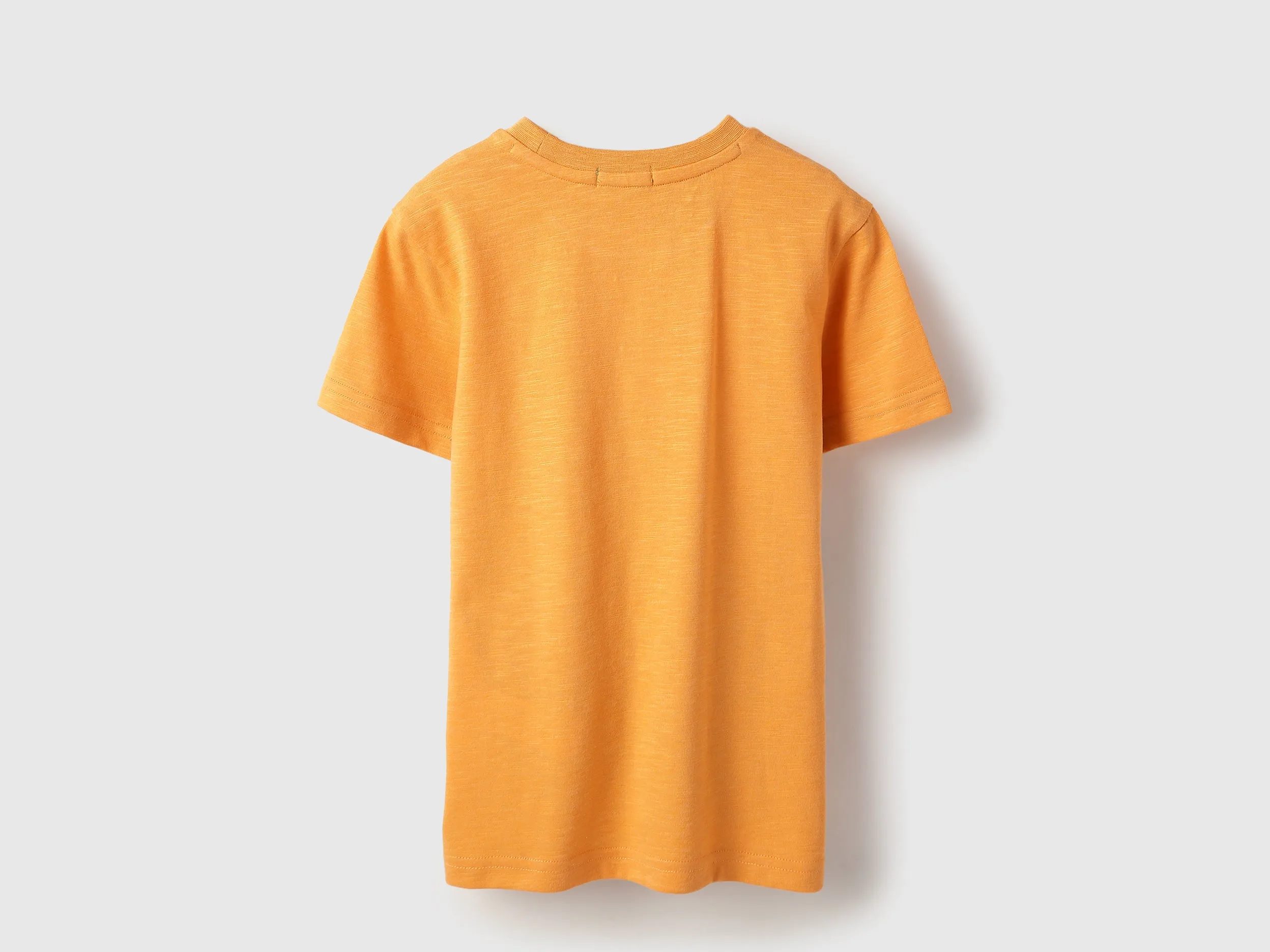 Regular Fit Round Neck Graphic Print T-Shirt