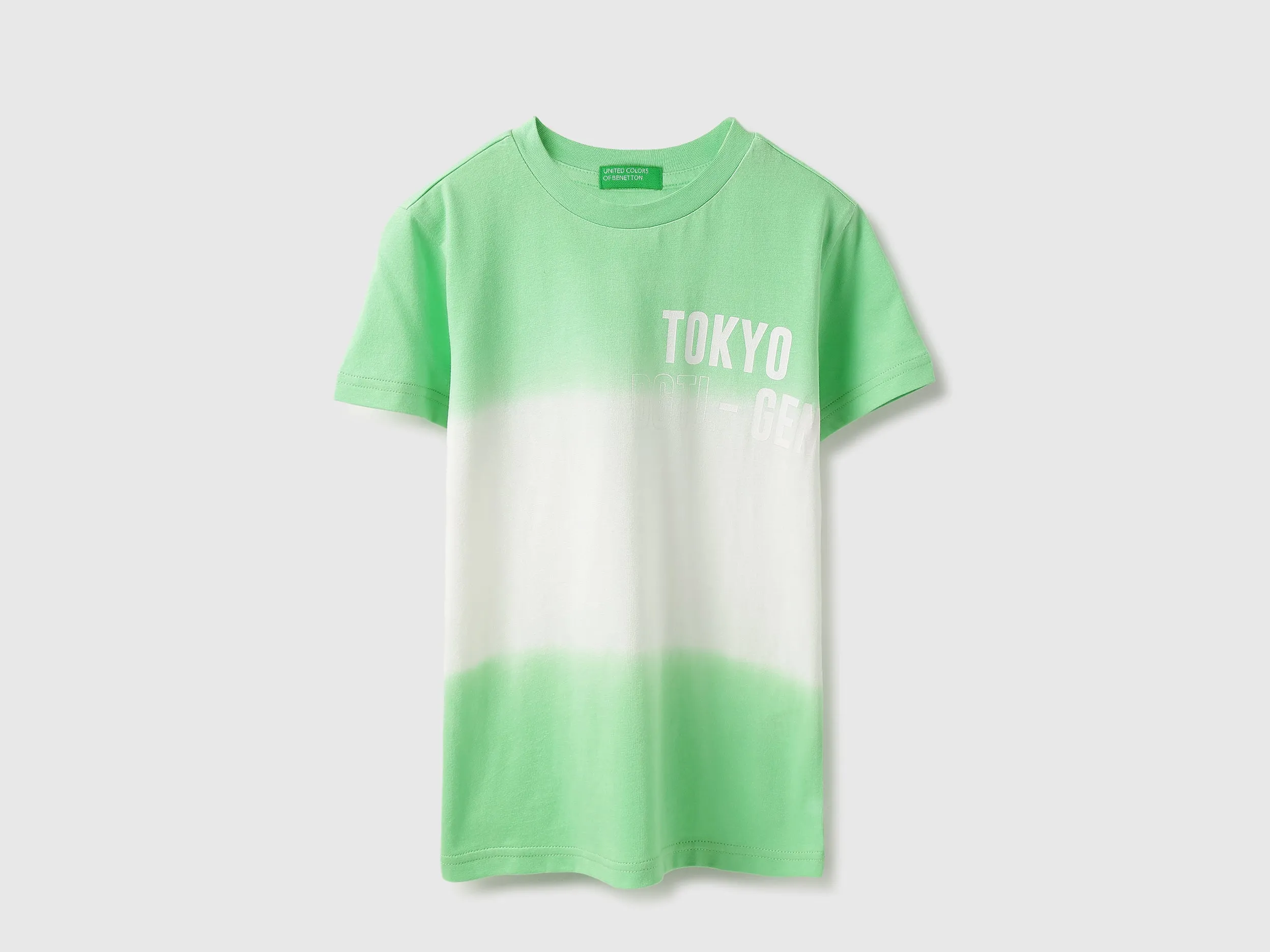 Regular Fit Round Neck Ombre Tshirt