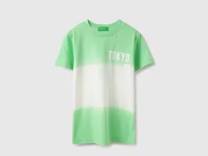 Regular Fit Round Neck Ombre Tshirt
