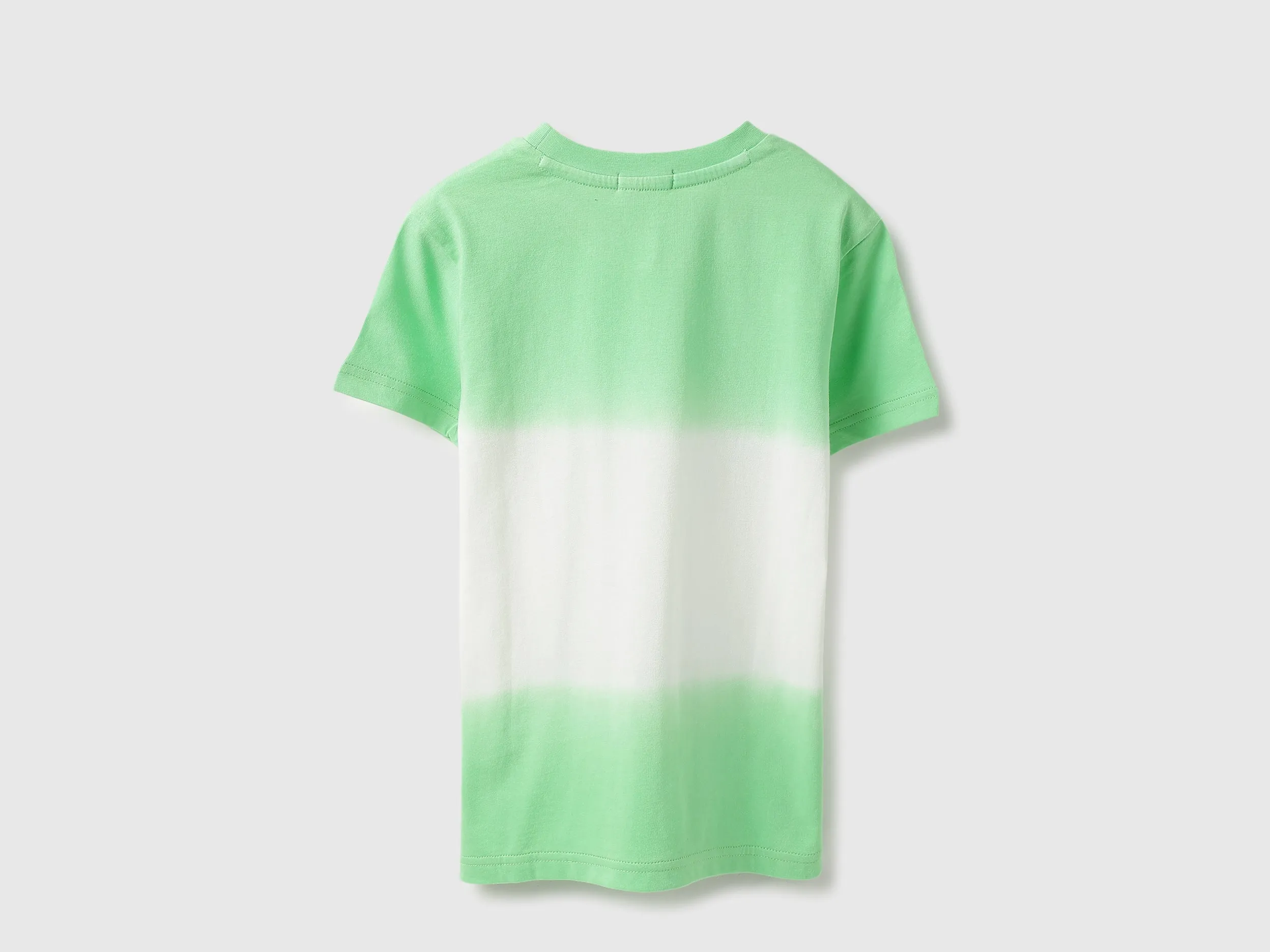 Regular Fit Round Neck Ombre Tshirt