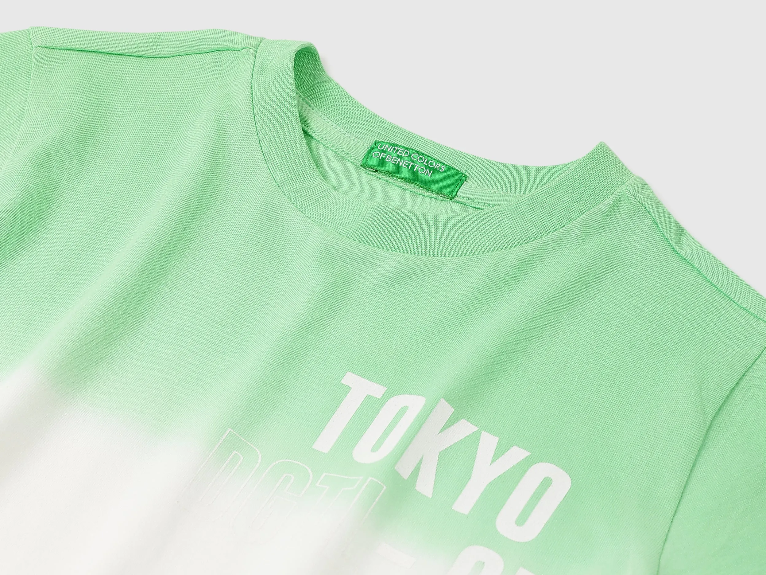Regular Fit Round Neck Ombre Tshirt