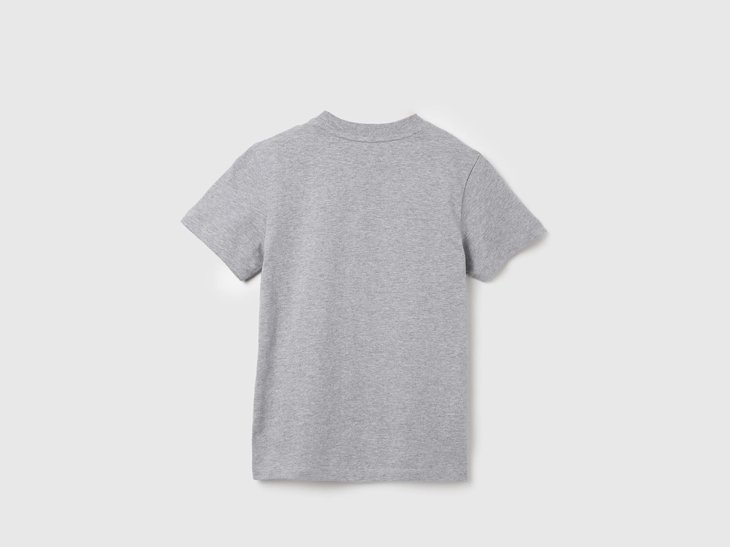 Regular Fit Round Neck Printed T-Shirts