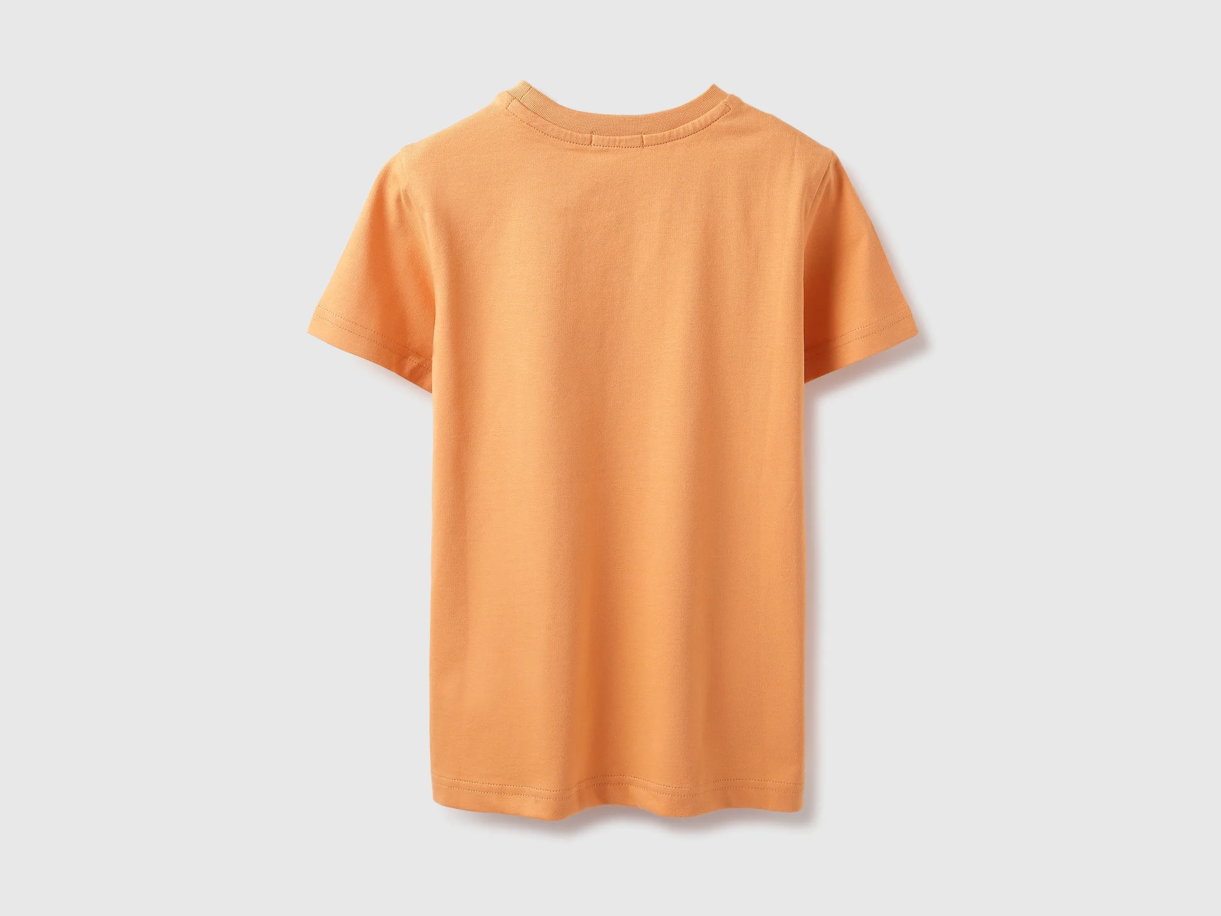 Regular Fit Round Neck Typography T-shirt