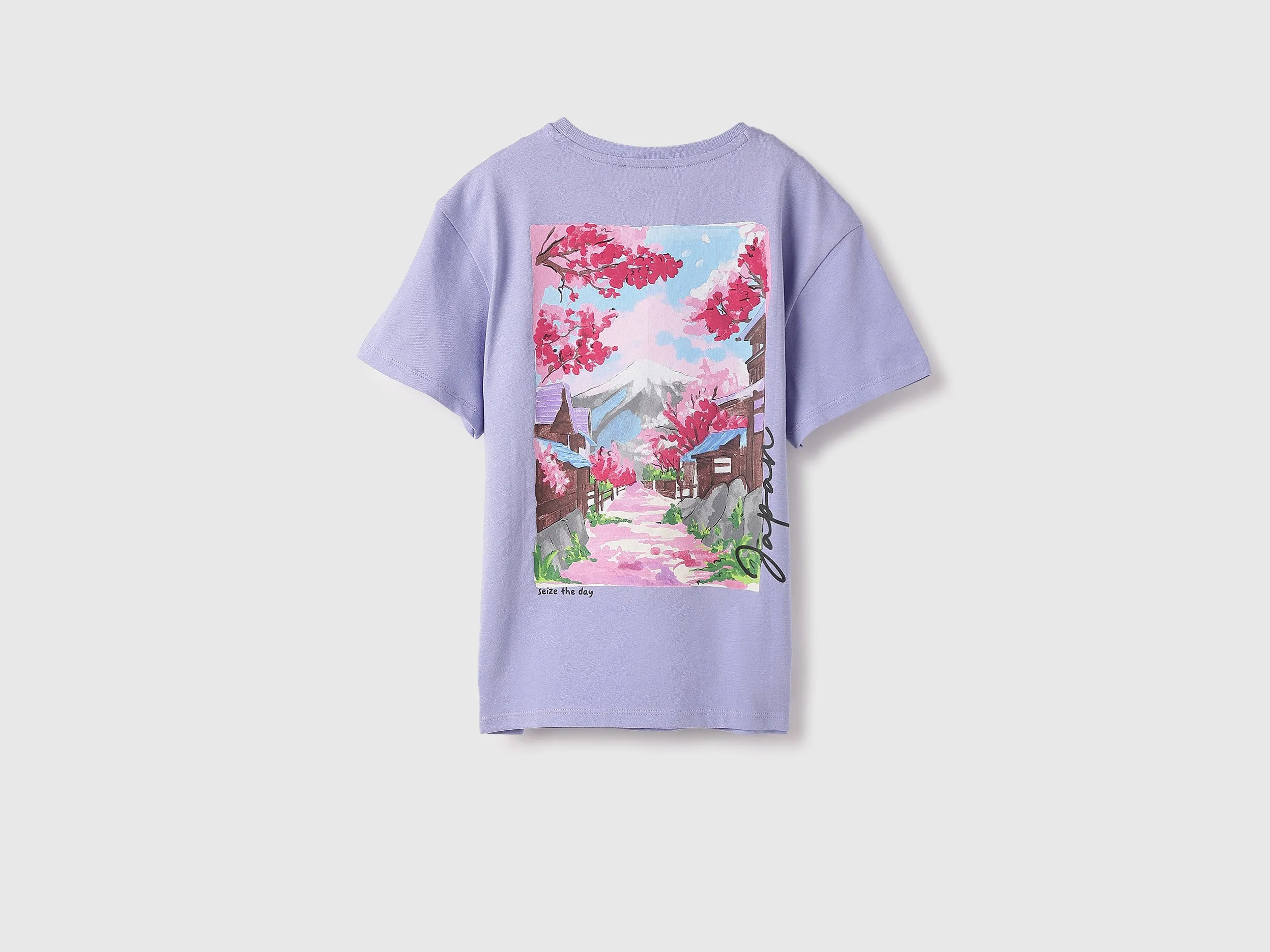 Regular Round Neck Graphic Print T-Shirt