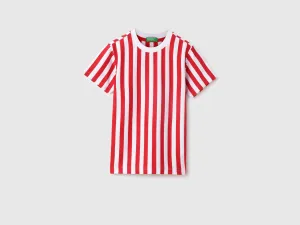 Regular Round Neck Striped T-Shirt