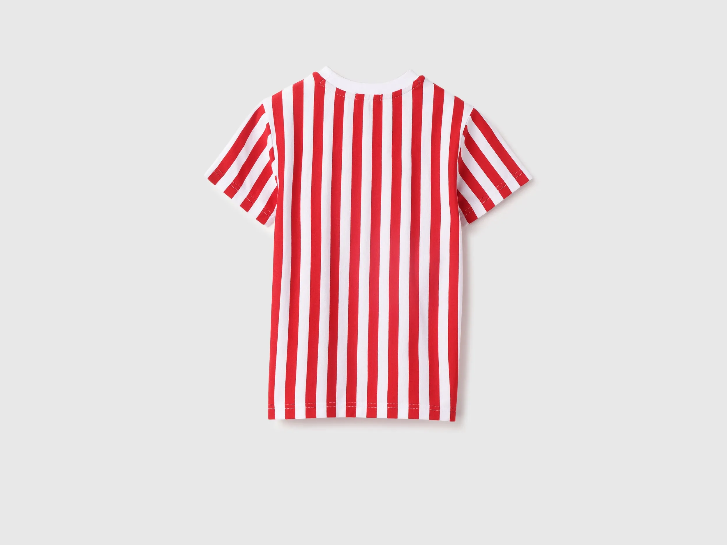 Regular Round Neck Striped T-Shirt