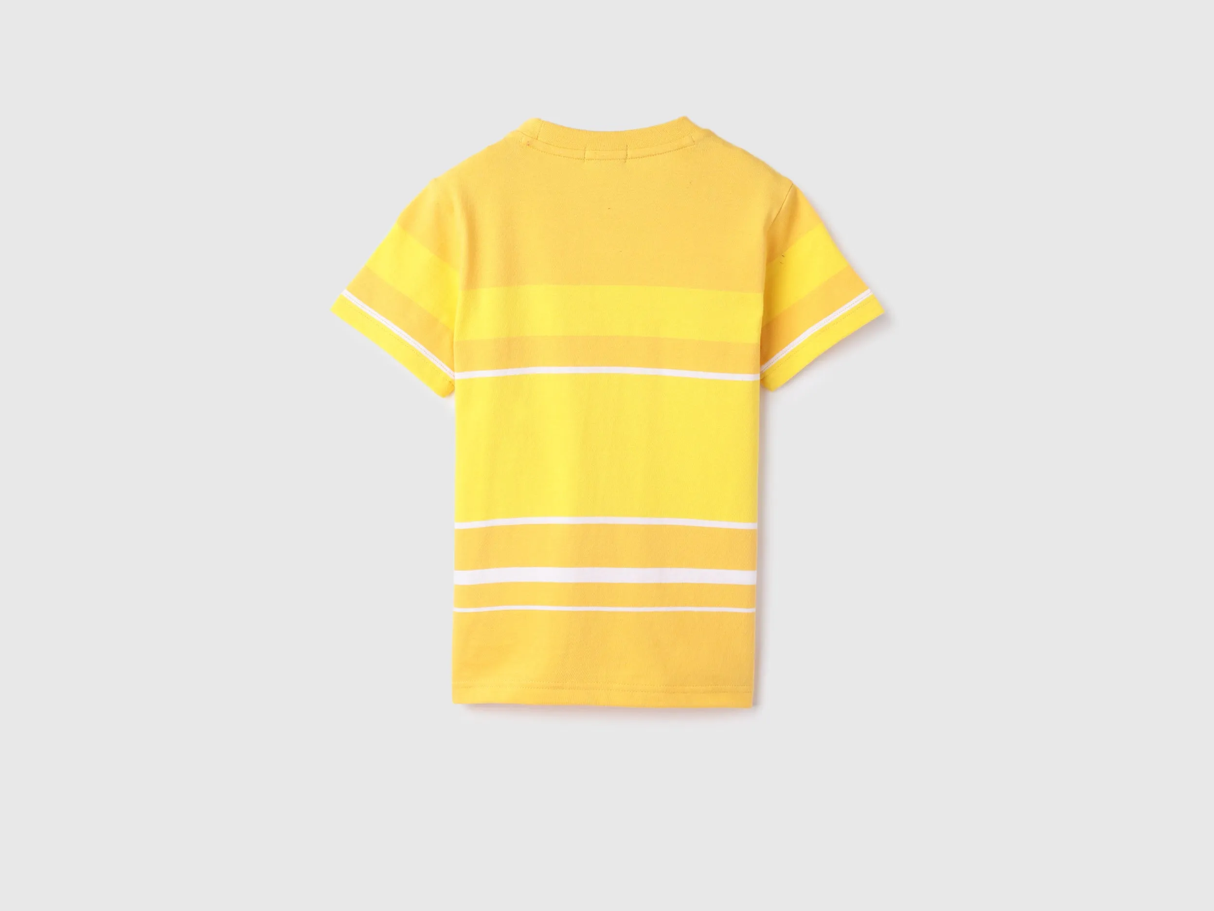 Regular Round Neck Striped T-Shirt