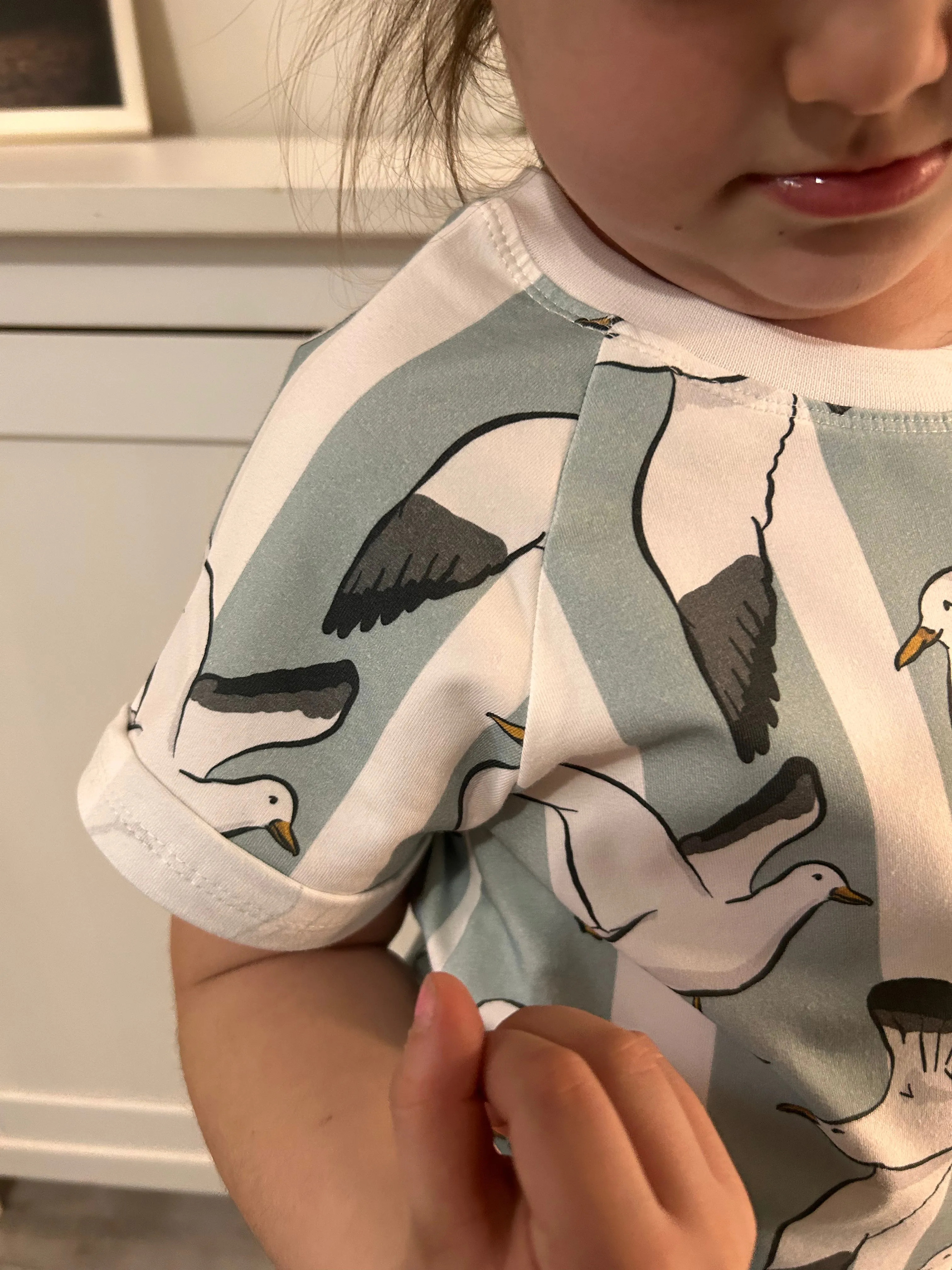 Seaside Seagulls T-shirt